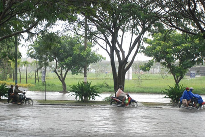 Floods force HCM City to amend urban planning - 1 Floods force HCM City to amend urban planning - 1