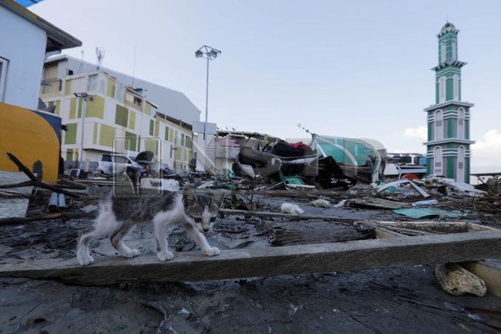 UN warns Indonesia quake needs 'vast' as toll nears 1,400 - 1 UN warns Indonesia quake needs 'vast' as toll nears 1,400 - 1