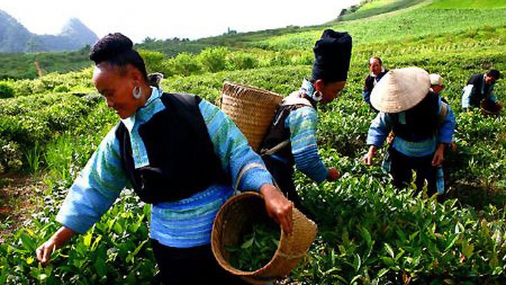 Due attention paid to the poor - 1