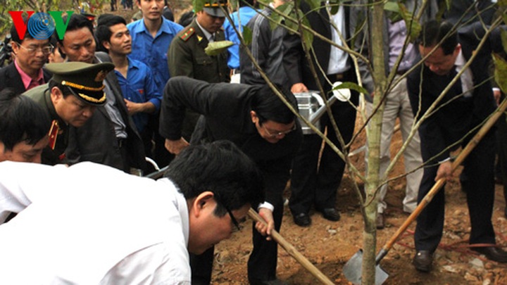 State President calls for forestation efforts - 1