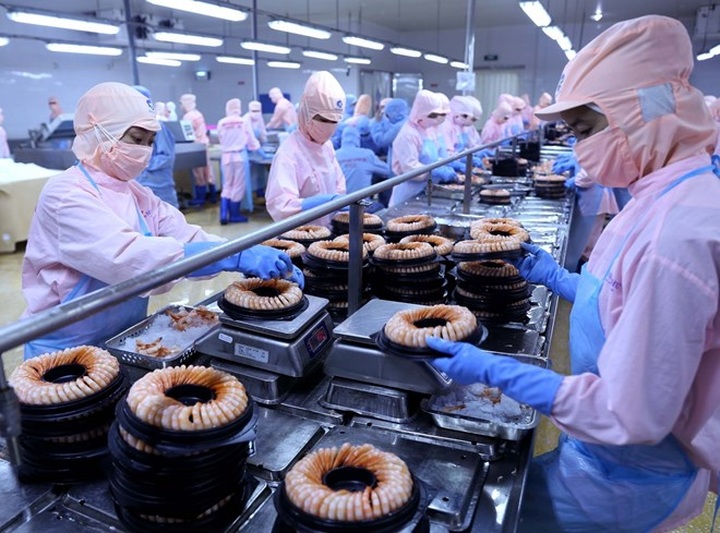 Exports could reach 239 billion USD this year: analysts - 1