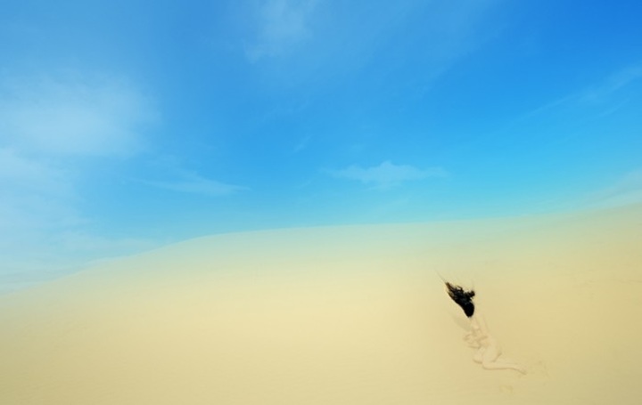 Vietnamese photographer wins silver at prestigious contest - 1 Vietnamese photographer wins silver at prestigious contest - 1