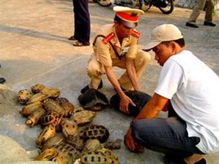 Conference warns of animal sales online - 1