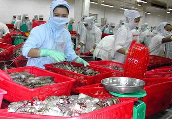 Vietnam’s seafood export sector to face challenges in 2012 - 1