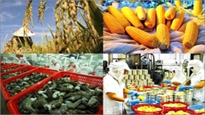 Agro-forestry-aquaculture to earn $1.8 billion in export revenue - 1