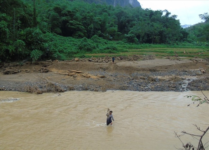 Mystery timber washed up after Thanh Hoa floods - 2
