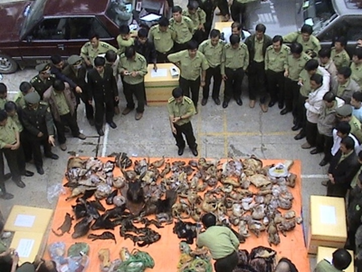 Vietnam honours first citizens for wildlife protection - 1 Vietnam honours first citizens for wildlife protection - 1