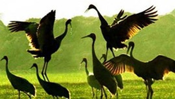 Germany helps Vietnam combat climate change - 1