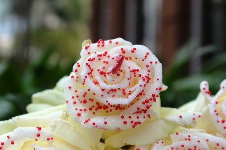 Special gifts for International Women’s Day booming in HCM City - 2