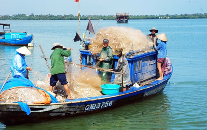 Vietnam’s fisheries hardest hit by climate change - 1 Vietnam’s fisheries hardest hit by climate change - 1