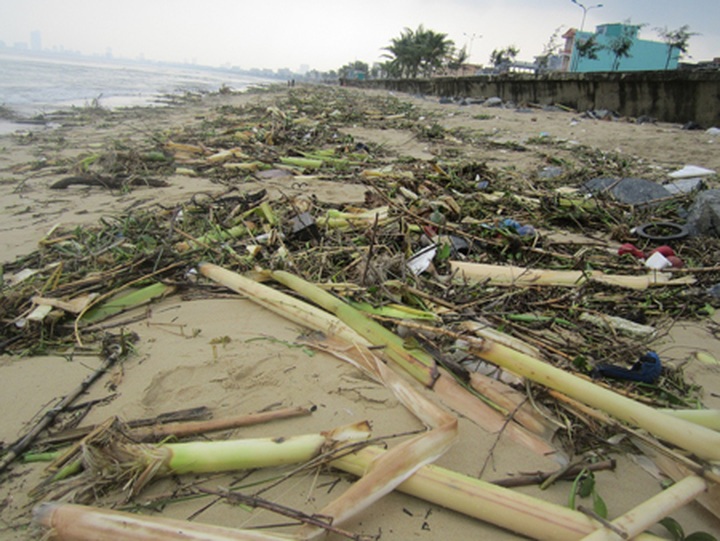 Asia, Europe join hands to mitigate natural disasters - 1