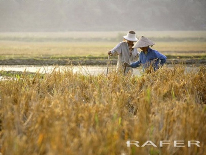 Spanish photographer inspired by Vietnam’s landscape - 1