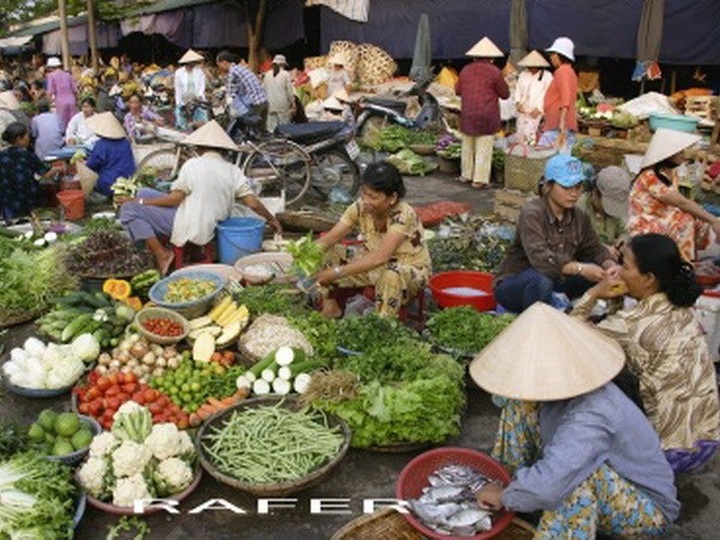 Spanish photographer inspired by Vietnam’s landscape - 3