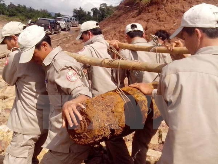 Peace Trees Vietnam hailed for healing war wounds - 1 Peace Trees Vietnam hailed for healing war wounds - 1