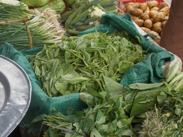 Official emphasises necessity for vegetables labels in Vietnam - 2 Official emphasises necessity for vegetables labels in Vietnam - 2