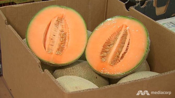 Malaysia bans rockmelons from Australia amid listeria fears - 1