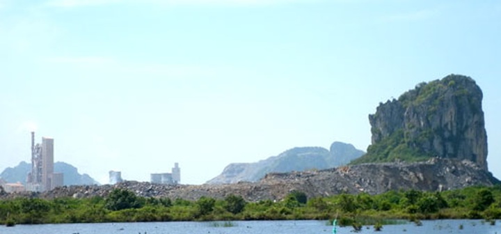 Limestone mine exploited, silver gibbons lose their homes - 1