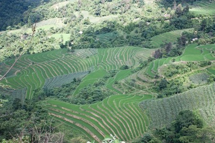 Mau Son offers cool summer break - 7