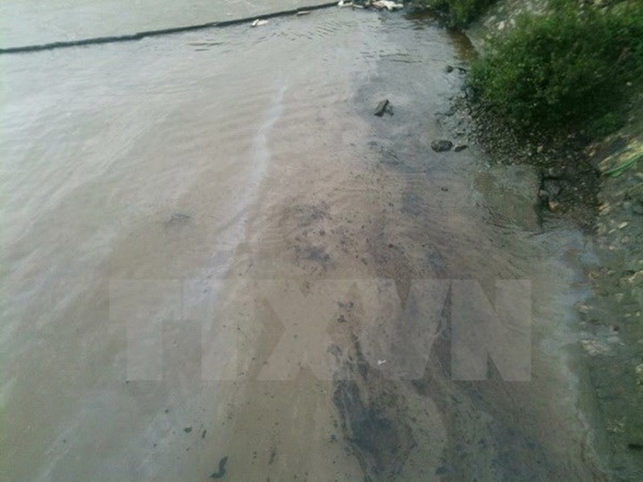 Six tonnes of oil cleaned from Quang Tri beach - 1