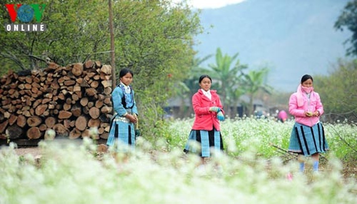 Mong ethnic people welcome New Spring - 2