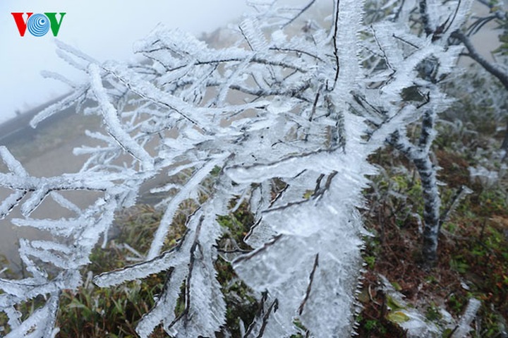 Ice crystallises Mau Son Mountain - 6
