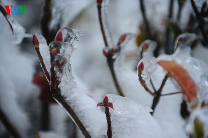 Ice crystallises Mau Son Mountain - 12
