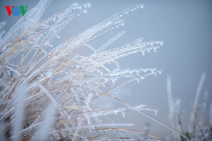 Ice crystallises Mau Son Mountain - 7