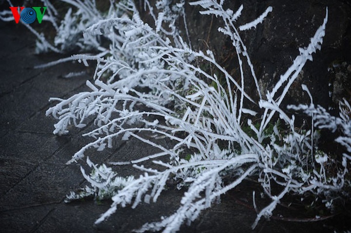 Ice crystallises Mau Son Mountain - 8