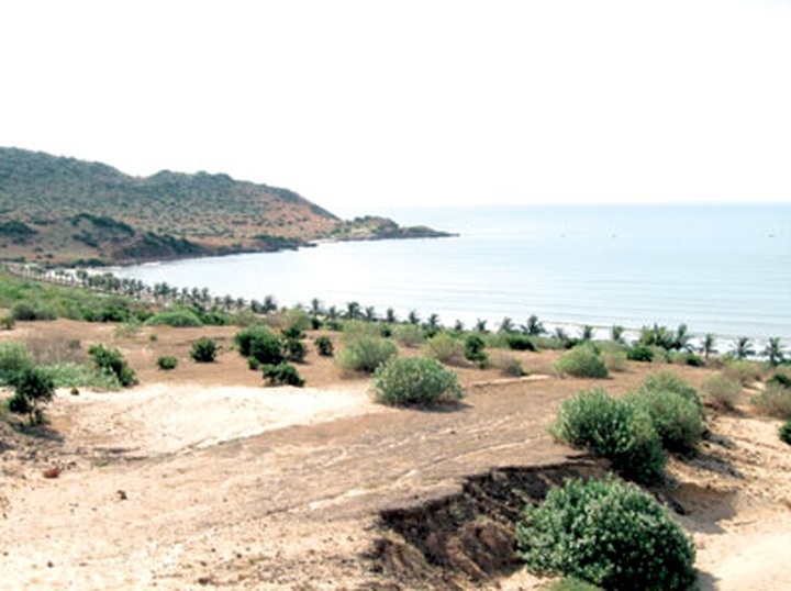 Experts discuss measures against desertification - 1