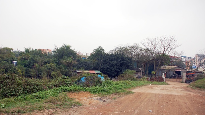 Companies abandon land amid economic downturn - 1