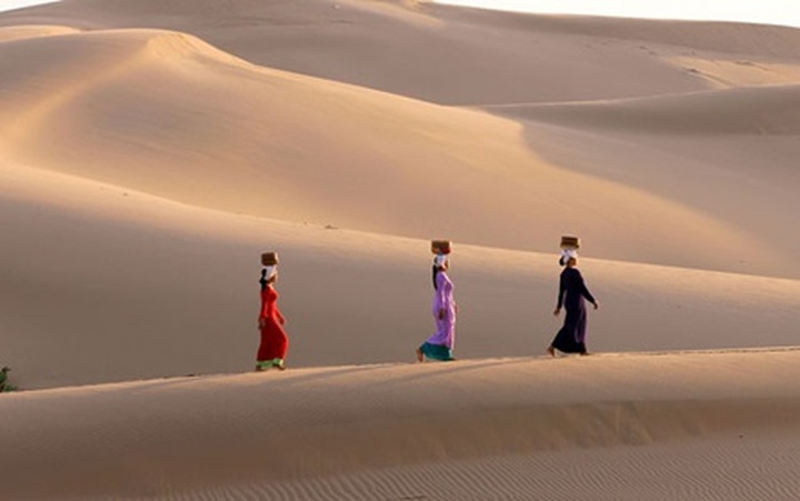Endless sand dunes offer moments of tranquility on Ninh Thuan coast - 1 Endless sand dunes offer moments of tranquility on Ninh Thuan coast - 1