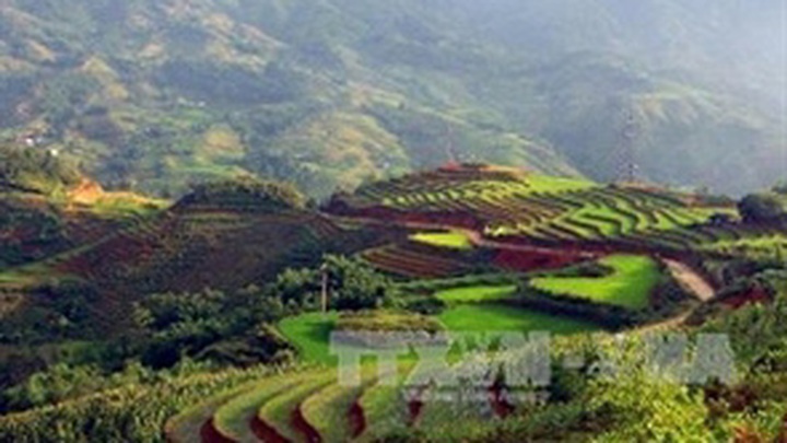Sapa tourist attractions listed in Vietnam’s record book - 2