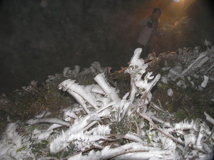 Snow falls in Sapa - 1