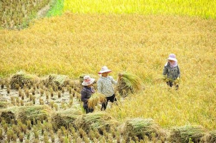 Stronger actions urged to curb agricultural pollution - 1 Stronger actions urged to curb agricultural pollution - 1