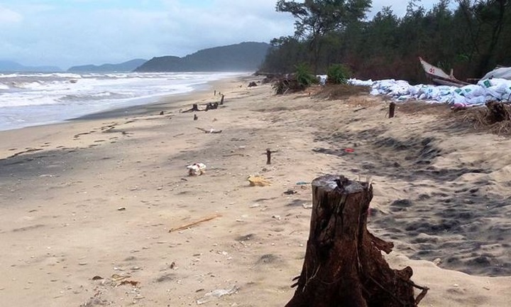 Hue beaches face severe erosion - 1