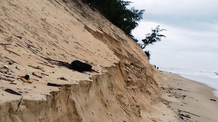 Hue beaches face severe erosion - 4