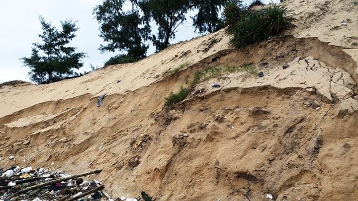 Hue beaches face severe erosion - 5