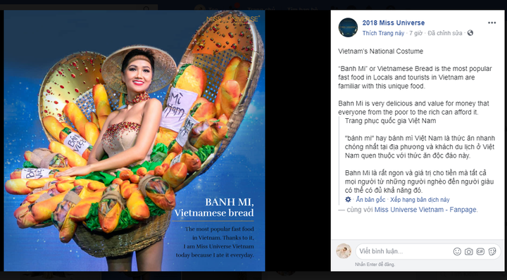 Miss Universe contestant impresses with Vietnamese bread outfit - 1