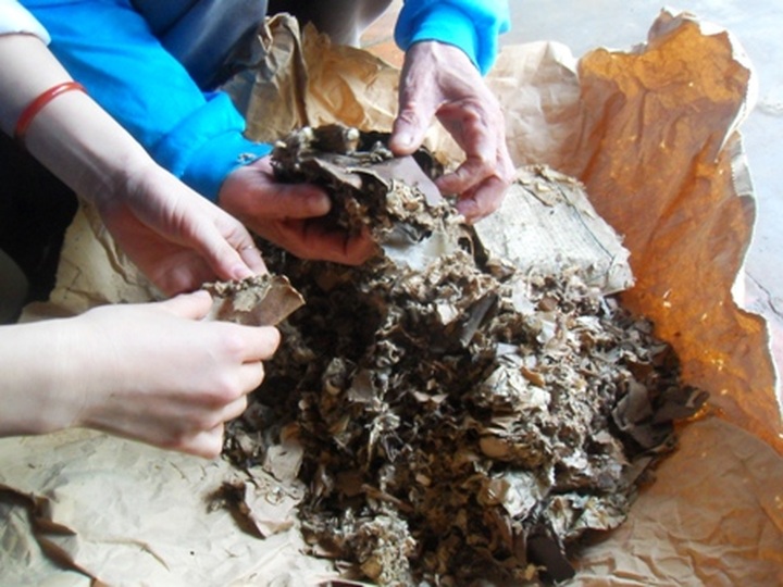 Thanh Hoa old book collection in desperate need of preservation - 5