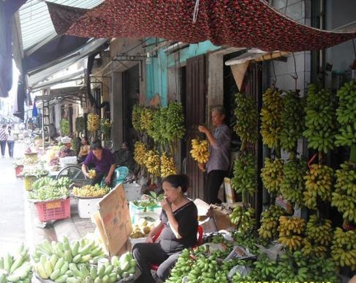 Royal bananas light up rural village - 4