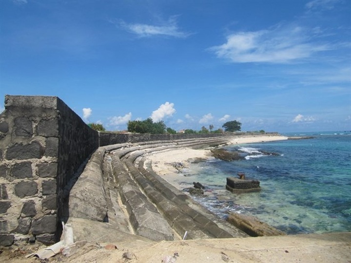 Sea turtle safety awareness plan to launch in 2018 - 1