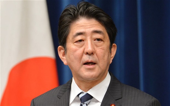 Japanese Prime Minister to pay official visit to Vietnam - 1