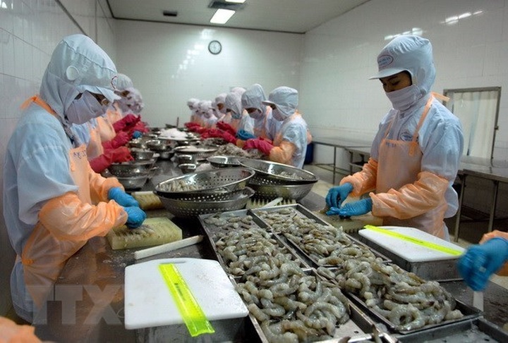 Experts: Vietnam must work hard to meet export targets - 1