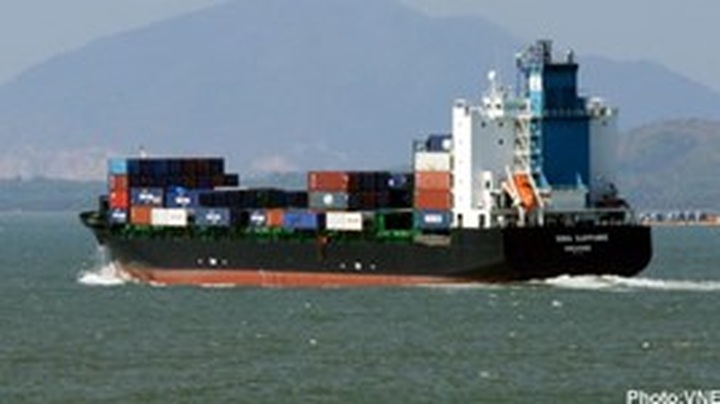 1 killed, 7 missing in ship collision off Vung Tau coast - 1