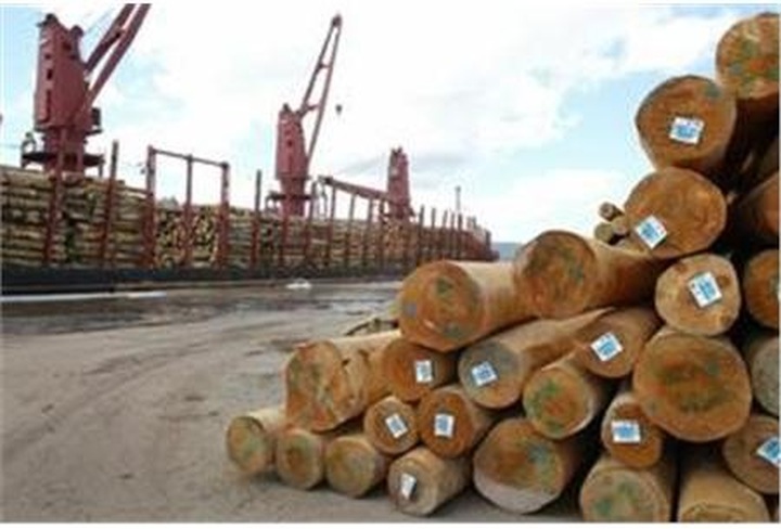 Lack of timber threatens wood industry - 1 Lack of timber threatens wood industry - 1