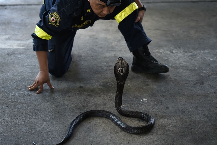 Something sss-strange in your Bangkok neighbourhood? - 1 Something sss-strange in your Bangkok neighbourhood? - 1