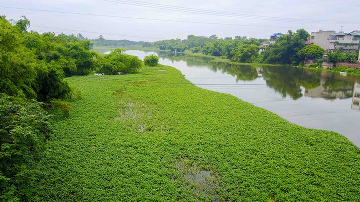 Hanoi's polluted rivers - 6