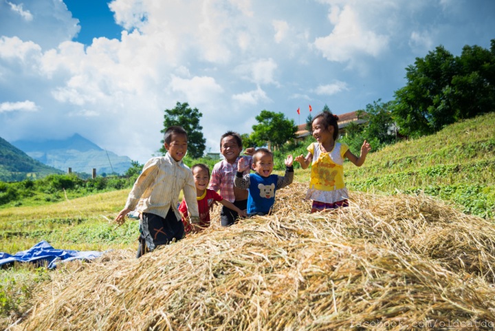 Sapa terraced fields among top 30 beautiful places globally - 12