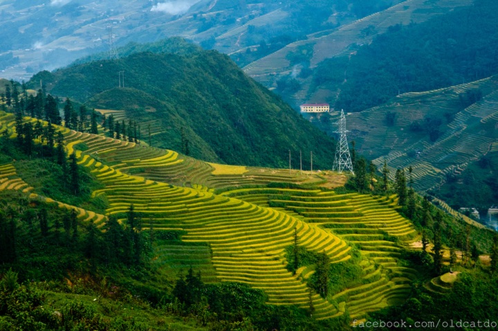 Sapa terraced fields among top 30 beautiful places globally - 3