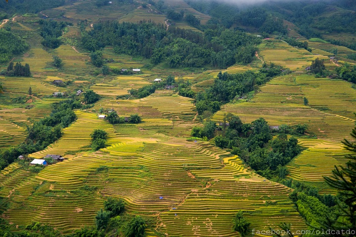 Sapa terraced fields among top 30 beautiful places globally - 6